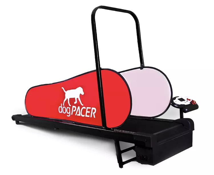 DogPACER Treadmill 3.1