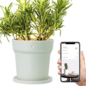 Smart Plant Pot 