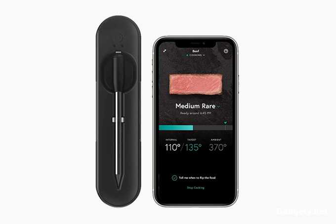 Yummly Smart Thermometer 